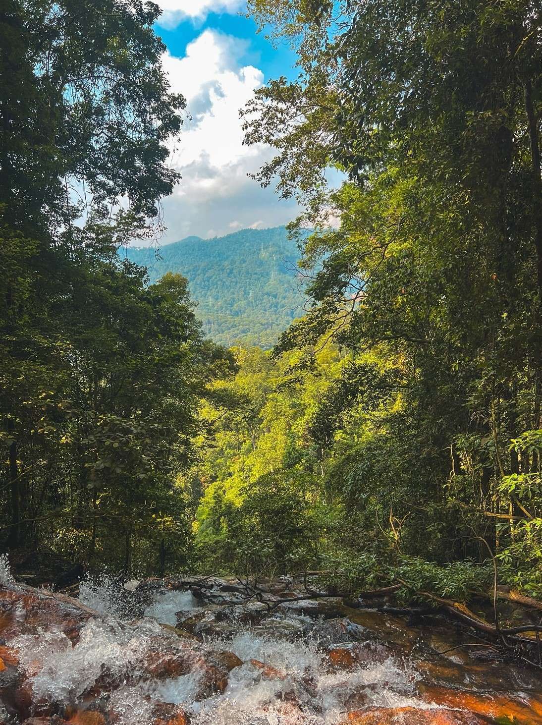 437049407_618325560502027_3546860078905195931_n